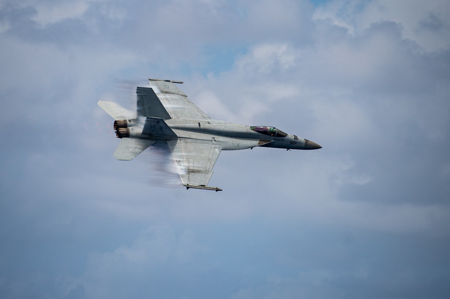 Strike Fighter Squadron (VFA) 137